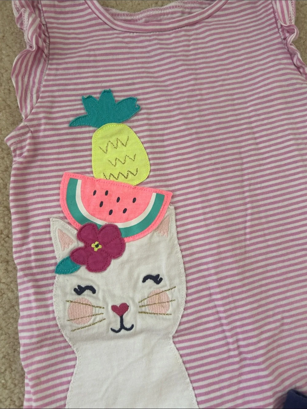 Girls 4t two piece outfit set 100% cotton kitty cat fruit pineapple watermelon